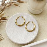 8834JE - Taren Gold Filled Hoop Earrings