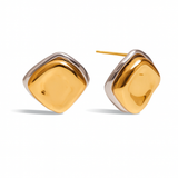 Two Tone Earrings