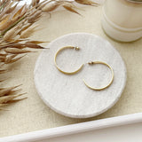 8817JE - Gwenevere Gold Filled Earrings